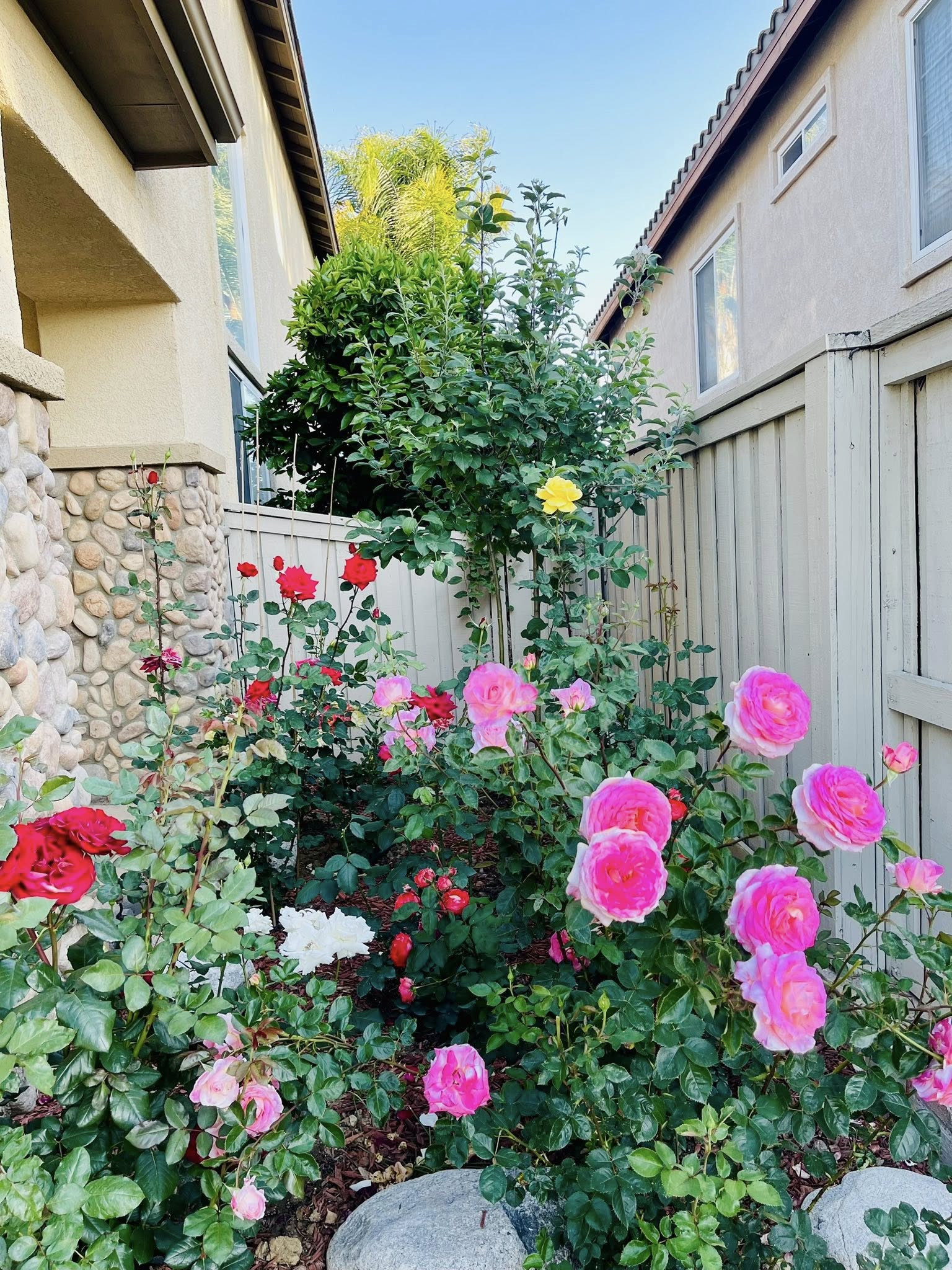 500261288243125514183508367672320962173230822n