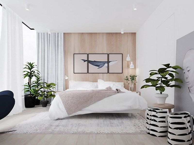 Đặt vật phẩm phong thủy phù hợp với từng không gian trong nhà để mang lại sức khỏe, hài hòa cho gia đình- Ảnh 2.
