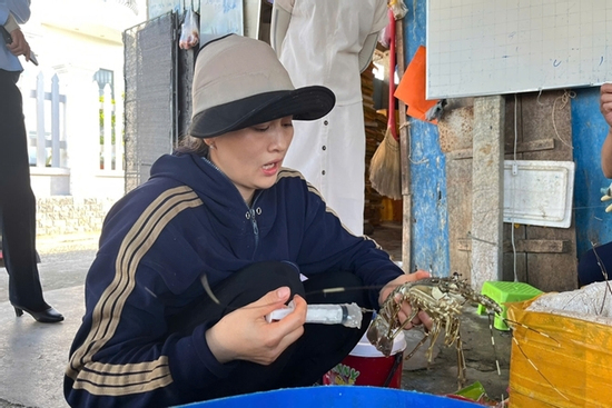 Phát hiện cơ sở bơm tạp chất vào tôm hùm chết để lừa người tiêu dùng