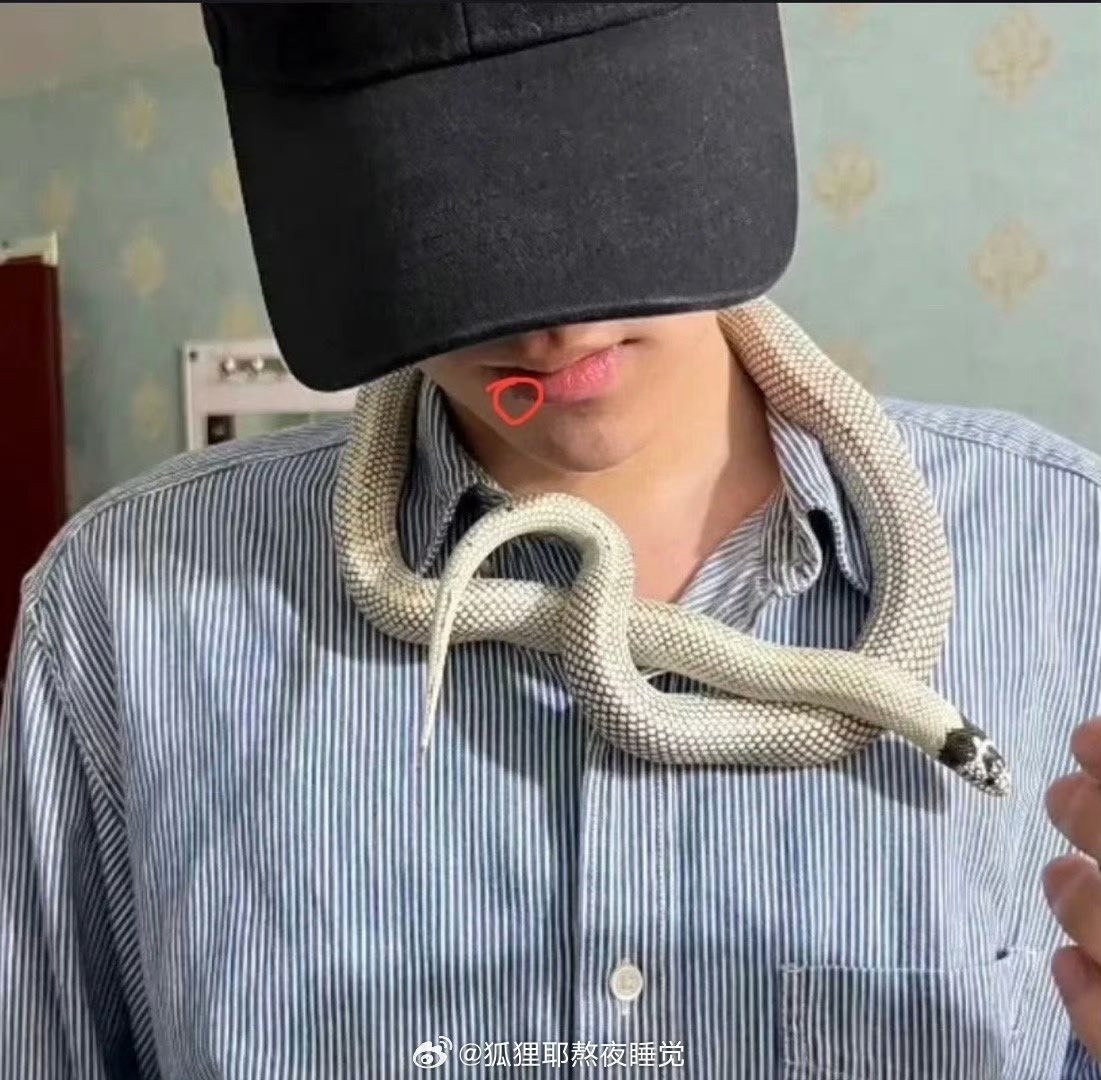 Nam chính phim đam mỹ Nghịch Ái đối diện nguy cơ bị phong sát