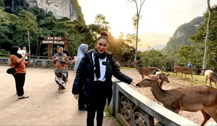 Cặp vợ chồng lớn tuổi tin rằng bản tin bao gồm cả đoạn có hình ảnh con nai này là sự thật. (Ảnh: Facebook/Nurul Afzarina Mokhtar)