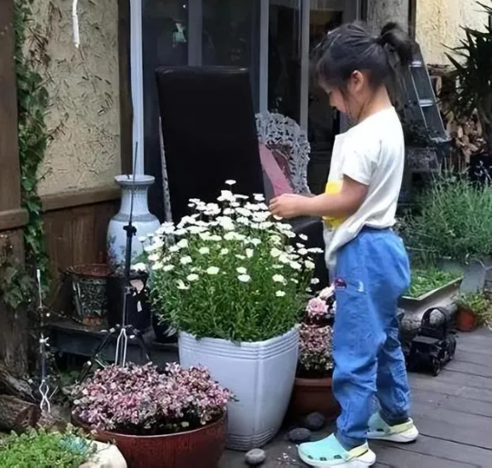 Thang Duy chắp tay đề nghị 'cánh săn ảnh' koong chụp hình con gái, bảo vệ sự riêng tư của con - Ảnh 2