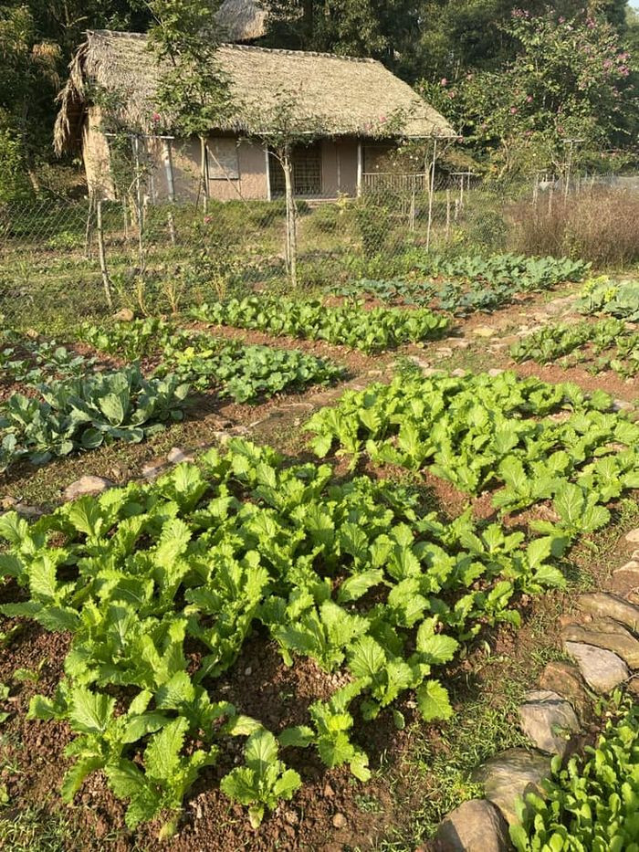 Hé lộ cơ ngơi sang xịn của Minh Trang  MC đang gây tranh cãi trong drama Làng Háo Hức