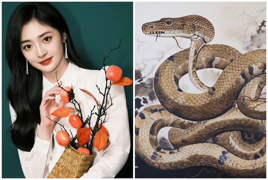 Tử vi 3 con giáp may mắn nhất thứ Ba (15/7): May mắn đủ đường, sung sướng khó ai bằng