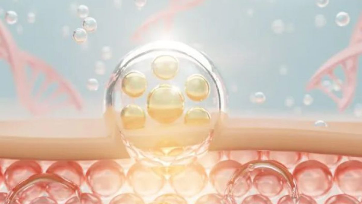 4 thực phẩm giàu collagen tự nhiên nên bổ sung- Ảnh 1.