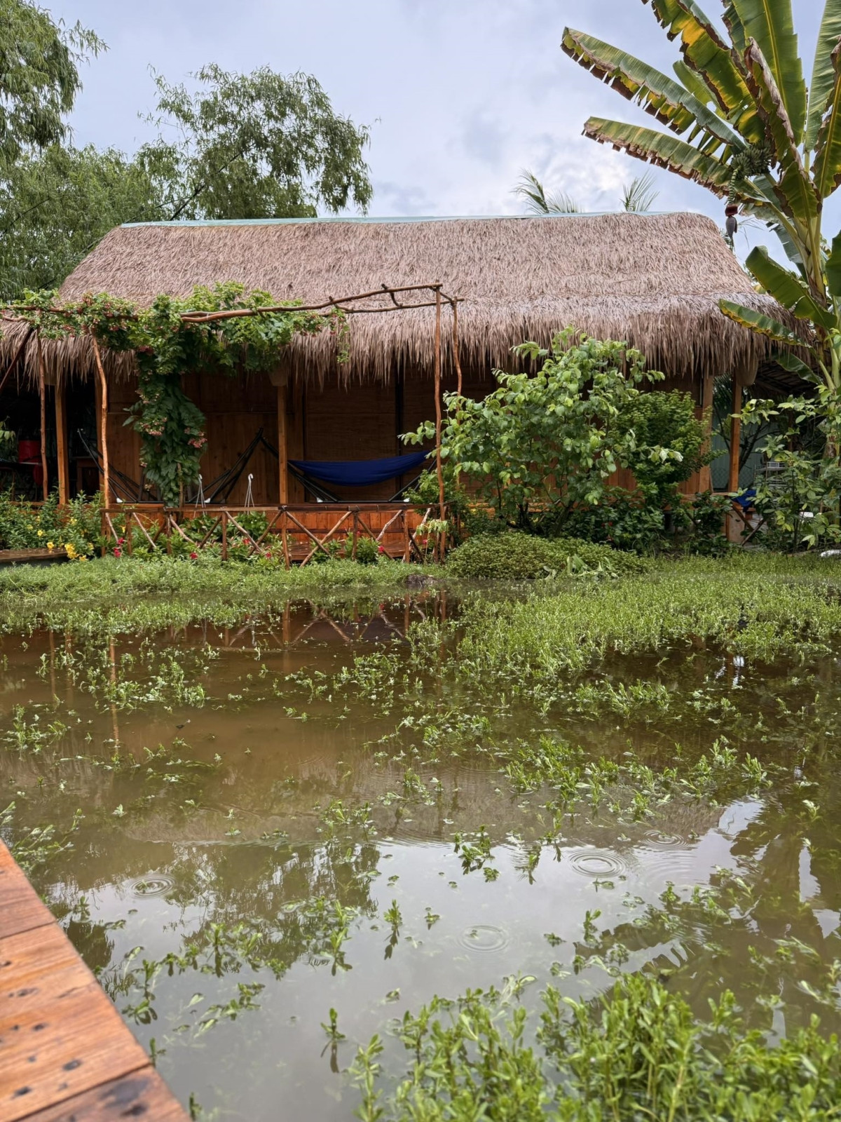 Nhà gỗ 36 m2 kiểu miền Tây xưa của Huỳnh Anh Tuấn - Ảnh 6.