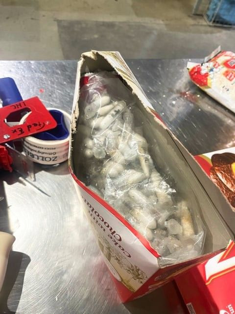 Mở hộp bánh tại sân bay, phát hiện cảnh tượng nổi da gà - Ảnh 1.