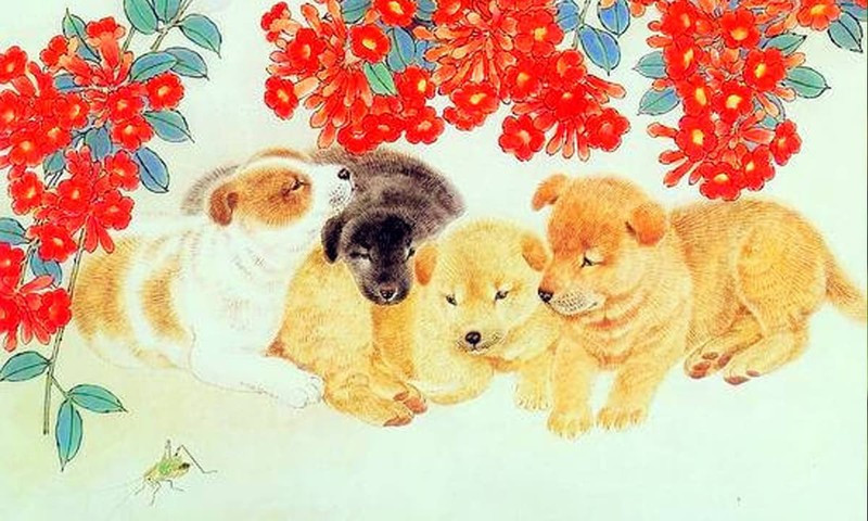 4 con giáp càng cuối tháng 7 dương lịch càng nhiều lộc, đón nhiều tin vui - Ảnh 5.