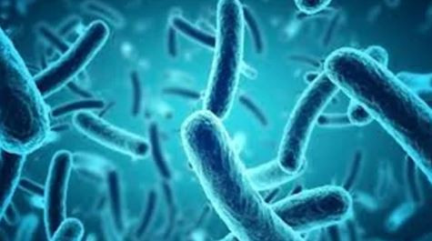 Người đàn ông 50 tuổi nguy kịch sau khi ăn cơm rang trứng- Ảnh 2.