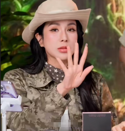 Diệp Lâm Anh tiếp tục bị công kích khi đang livestream