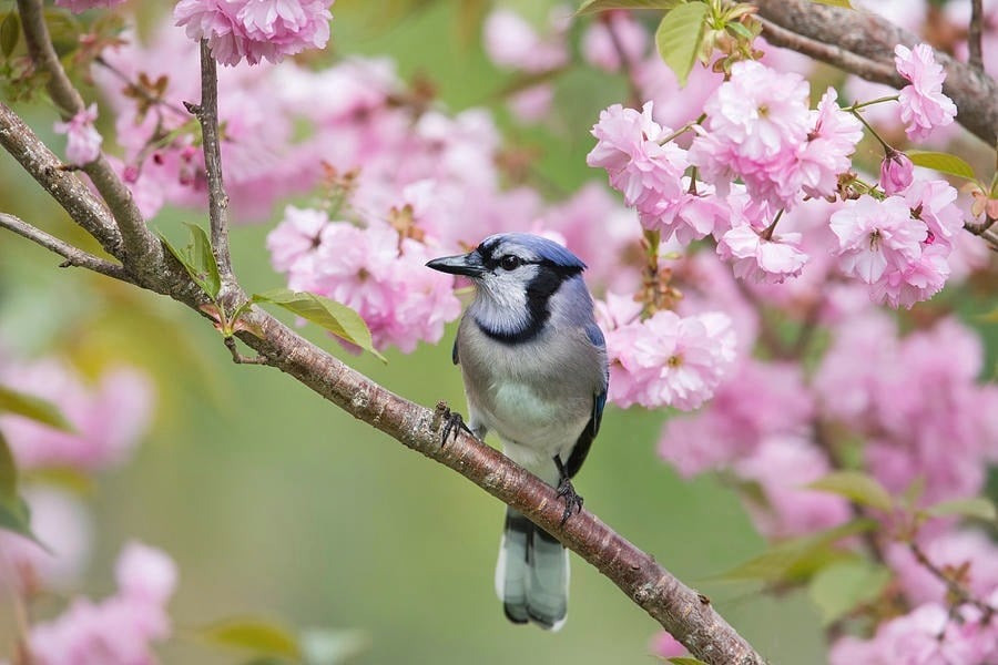 Bí mật 'tháng sinh Âm lịch' của người giỏi giang và sớm thành đạt: Bạn có nằm trong số này?- Ảnh 4.