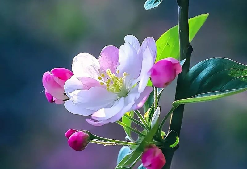 Trẻ sinh vào 4 tháng Âm lịch vượng khí: Càng lớn càng giỏi, tiền tài danh vọng theo về- Ảnh 1.