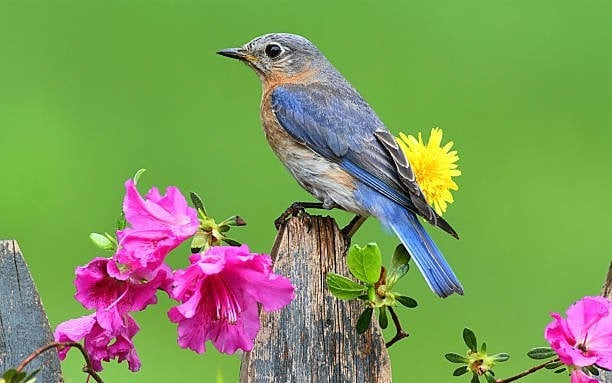 Tháng sinh Âm lịch của người cầu toàn, tỉ mỉ - Ảnh 2.