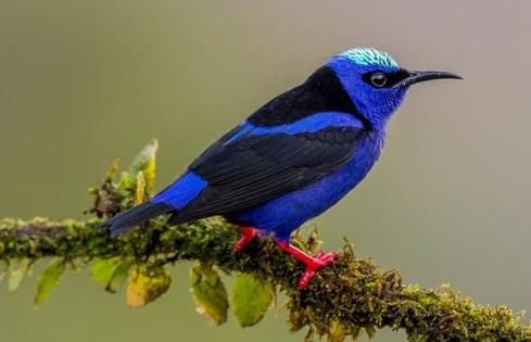 Tháng sinh Âm lịch của người cầu toàn, tỉ mỉ