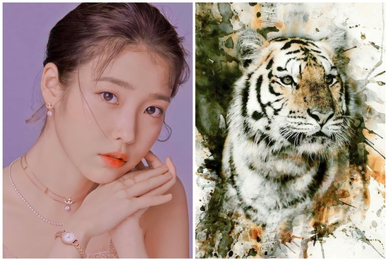 Tử vi 12 con giáp Chủ Nhật ngày 27/7/2025: Tài lộc về, tình duyên tới