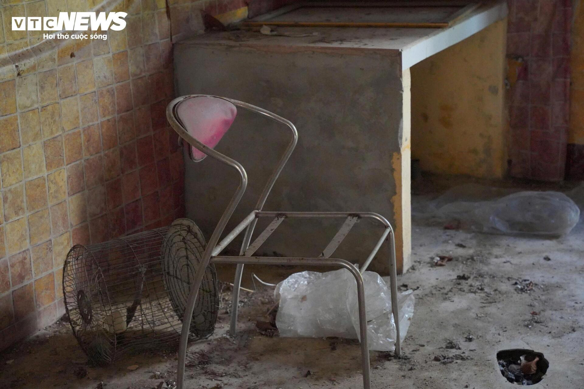 Cận cảnh căn biệt thự bị bỏ hoang của Hoàng Thái hậu triều Nguyễn - 10