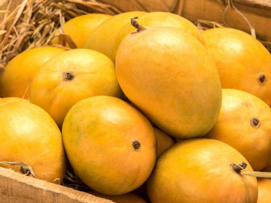 Top 3 loại trái cây mùa hè gây tăng cân nhanh hơn ăn cơm trắng