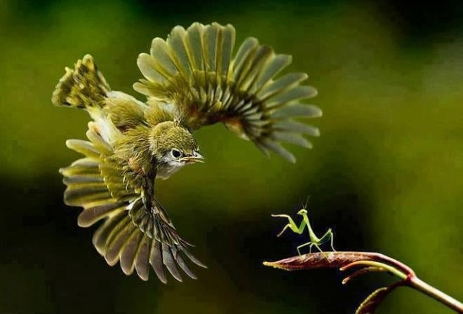 Số cuối ngày sinh Âm lịch tiết lộ khả năng kiếm tiền: Bạn thuộc nhóm giàu sang nào?- Ảnh 4.