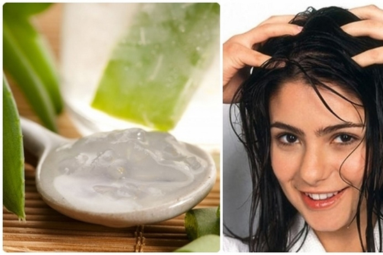 Ủ tóc bằng nha đam có tác dụng gì?
