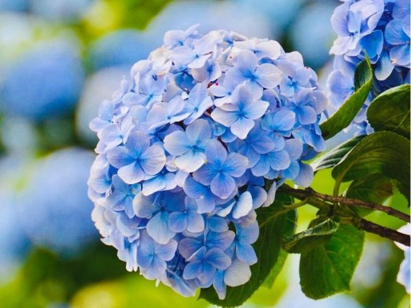 Bước qua tháng 8 dương lịch: Phúc - Lộc - Thọ đủ đầy, 3 con giáp thay thời đổi vận, tiền nhét chặt ví, Đại Cát Đại Lợi, cuộc đời sang trang huy hoàng - Ảnh 2