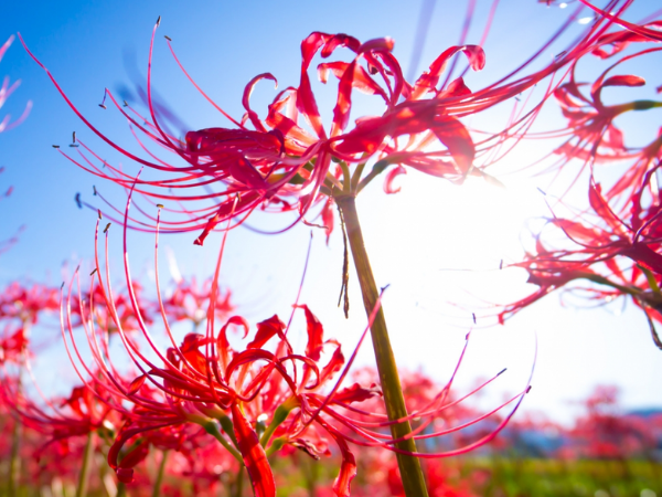 Điểm danh 3 con giáp qua cơn bĩ cực trong liên tiếp 4 ngày (1, 2, 3 và 4/8), ra đường tiền rơi trúng đầu, làm nên nghiệp lớn, phất lên như vũ bão - Ảnh 2