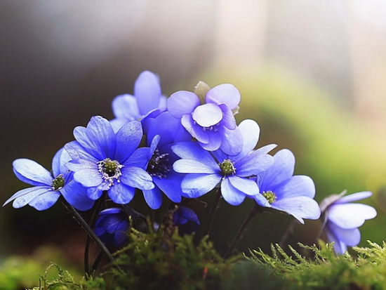 Trong thứ Bảy, Chủ Nhật này (1,2 tháng 8), 3 con giáp giàu có không ai sánh bằng, tiền tỷ về tay