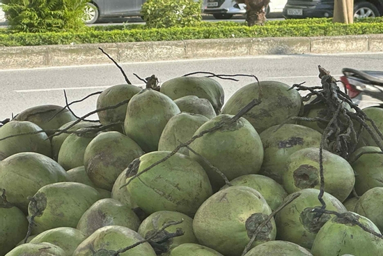 3 không khi uống nước dừa vào mùa hè