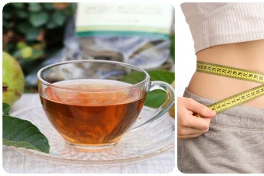 Cách uống nước lá ổi để giảm cân, giảm mỡ bụng