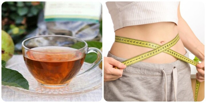 Giảm cân bằng nước lá ổi rất hiệu quả