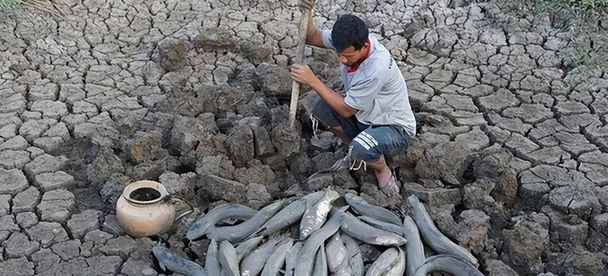 Loài cá duy nhất trên thế giới có thể sống 5 năm không cần nước- Ảnh 6.