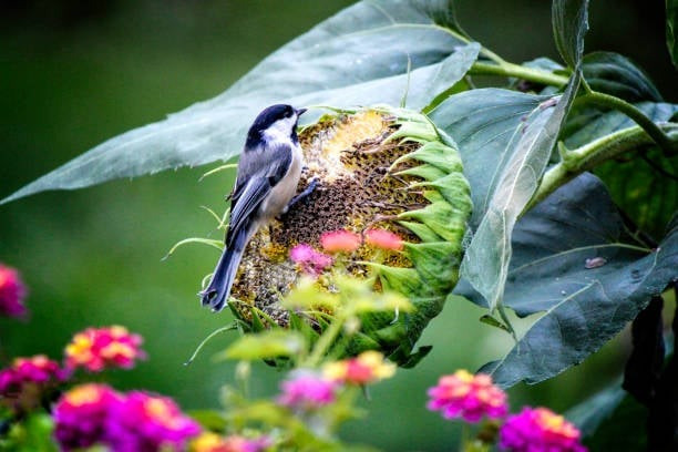 Tháng sinh Âm lịch của người tham vọng, không ngừng vươn lên trong sự nghiệp- Ảnh 2.