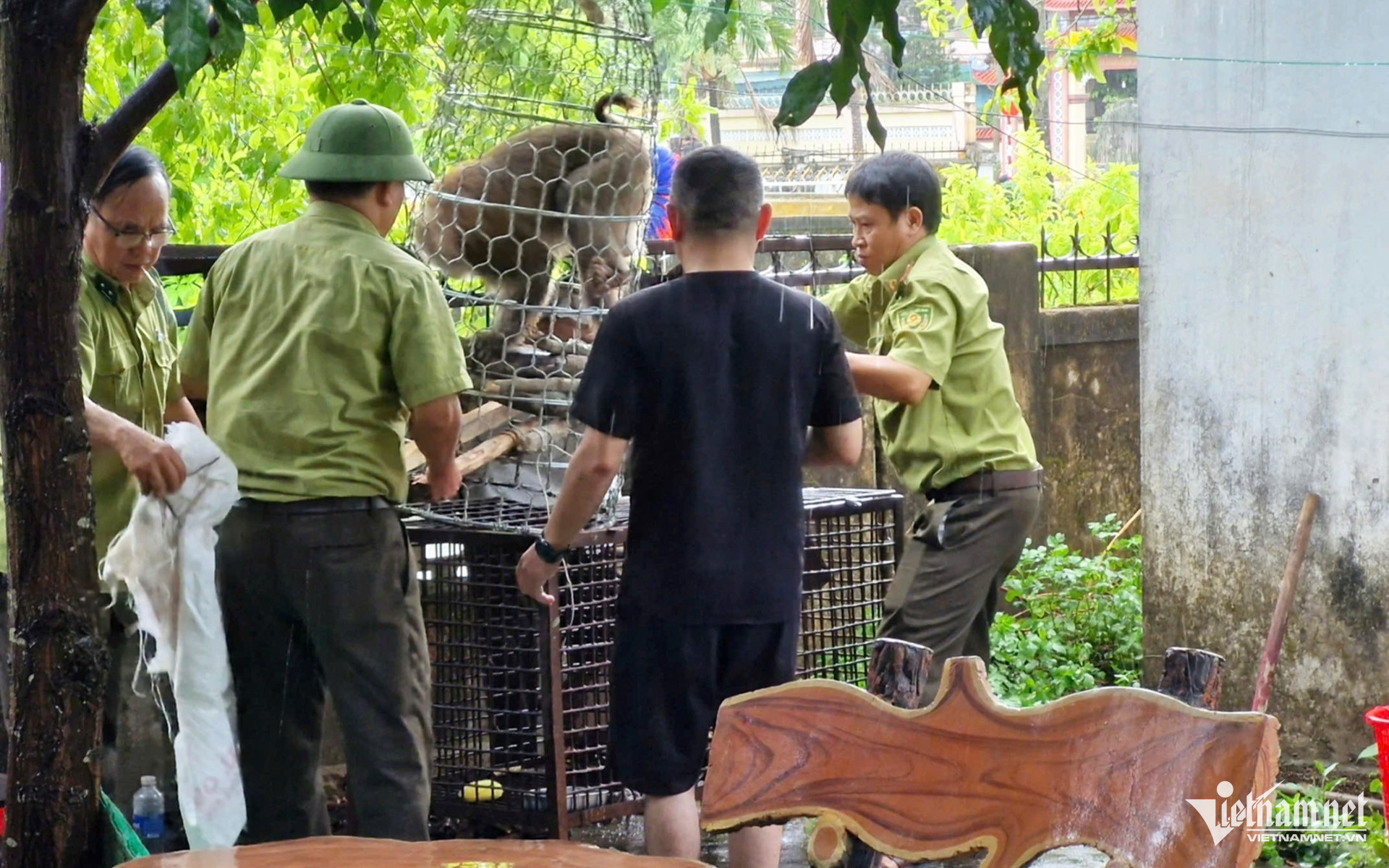 W-dc5695a0 5a69 4e2c b068 42c27a6fff7e copy 92111.jpg