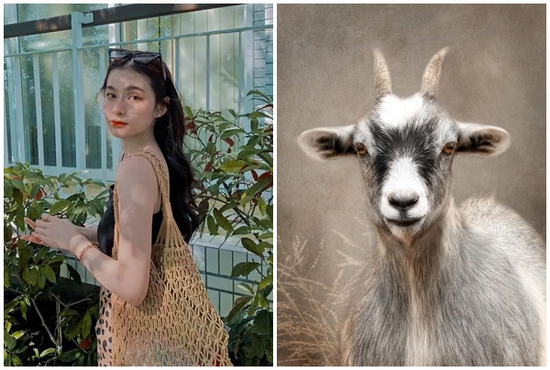 Tử vi 12 con giáp thứ Bảy ngày 5/7/2025: Bùng nổ tài lộc, chuyển mình đón vận may