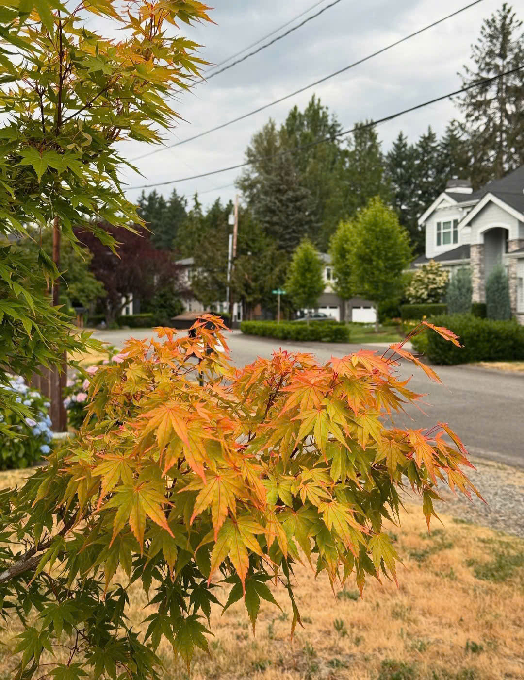 ee75de31a06d16334f7c