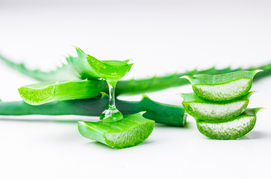 Lô hội tốt cho da như thế nào?- Ảnh 1.