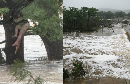 Bị lũ quét cuốn trôi 32km, cô gái trẻ sống sót kỳ diệu nhờ bám được vào cây