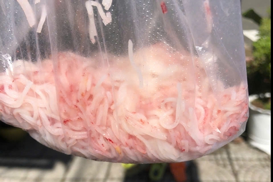 Diễn biến nóng vụ bún đổi màu đỏ bất thường tại Đà Nẵng