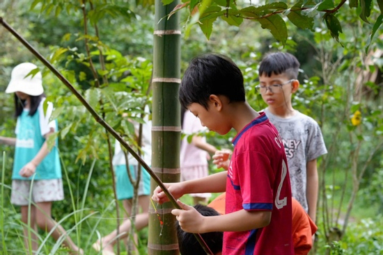 Chi 8 - 9 triệu đồng gửi con đi trại hè, cha mẹ nhận về nước mắt và nỗi ám ảnh