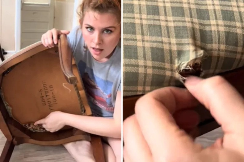 Sabrina McClenithan phát hiện điều bất thường ẩn giấu dưới lớp vải bọc ghế.