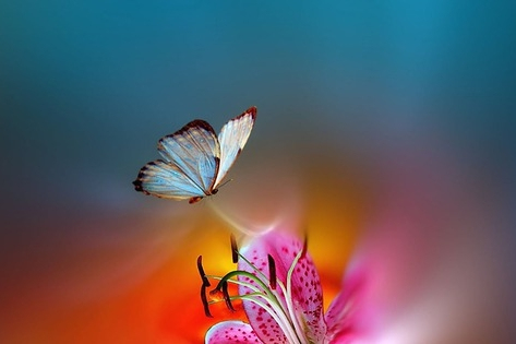 Điềm lành từ ngày sinh Âm lịch: Số cuối quyết định phú quý, may mắn tuổi xế chiều