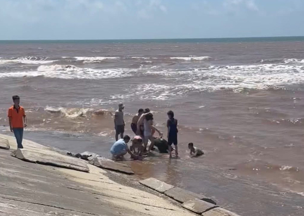 9359bc28 181a 4c72 8763 74cdc46ccf20.jpg