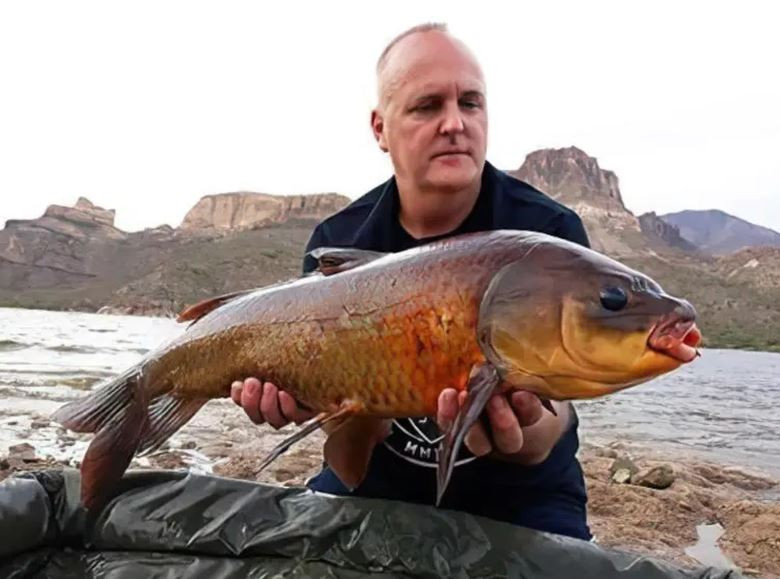 Loài cá sống lâu bậc nhất thế giới, thọ tới hơn 100 tuổi, càng già càng khỏe - Ảnh 3.