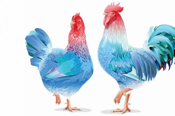 Đúng 6h sáng thứ Tư 13/8/2025, 3 con giáp lộc nhiều hơn sông, tiền bạc ngập lối, giàu sang hơn người