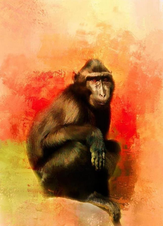 Đúng 20h hôm nay, ngày 12/8/2025, 3 con giáp bội thu tiền bạc, may mắn chờ sẵn trước nhà