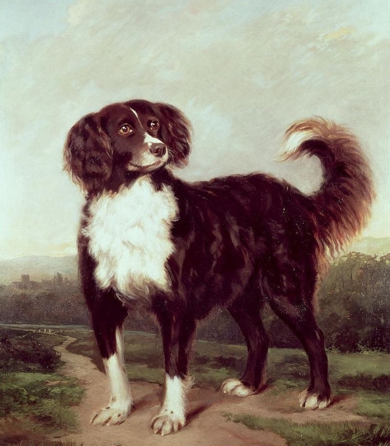 3 con giáp giỏi kinh doanh từ tháng 8 cuộc sống sung túc tiền tiêu dư dả