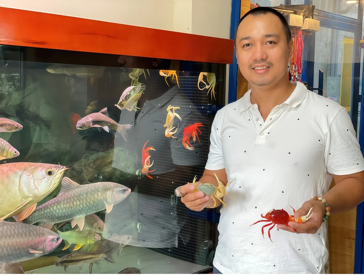 Anh Hà Xuân Lộc tự hào chia sẻ về những con cua đa sắc mình nuôi đầy tâm huyết. (Ảnh: NVCC)