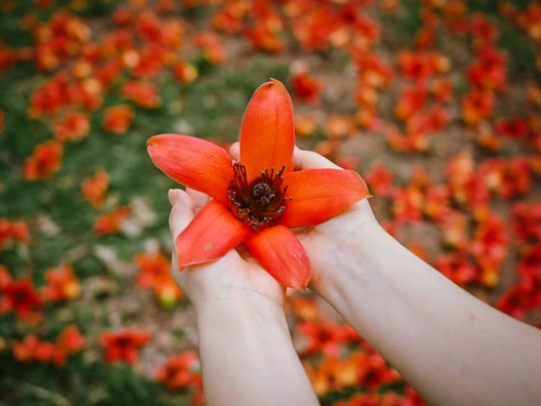 Tinh hoa hội tụ 6 ngày cuối tháng 6 âm lịch, 3 con giáp có thời vận tươi đẹp, vàng bạc đầy nhà, giàu có hết phần thiên hạ, sung túc no đủ - Ảnh 1