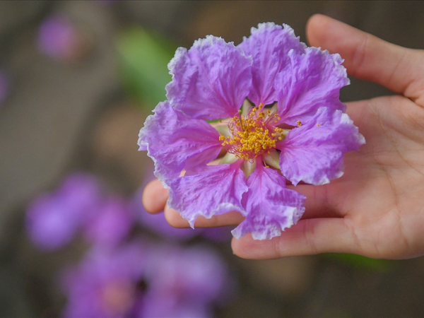 Từ nay đến cuối tháng 8 dương lịch, 3 con giáp chuyển bại thành thắng, rộng đường thăng tiến, năng lượng giàu có vây quanh, tiền đẻ ra tiền - Ảnh 1