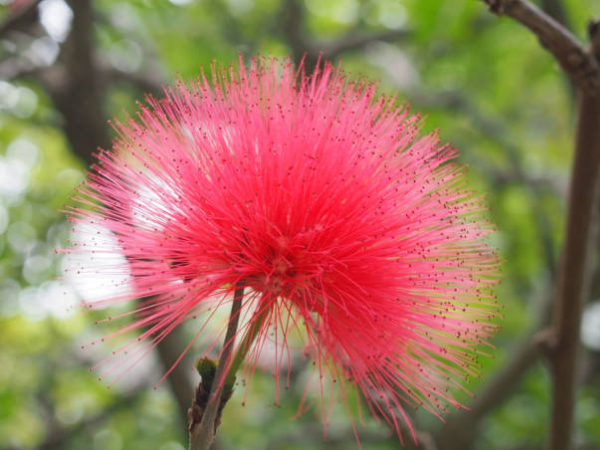 Từ nay đến cuối tháng 8 dương lịch, 3 con giáp chuyển bại thành thắng, rộng đường thăng tiến, năng lượng giàu có vây quanh, tiền đẻ ra tiền - Ảnh 3