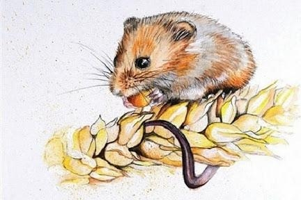 3 con giáp tiền tài thuận nước xuôi dòng, làm gì cũng lợi, chả mấy mà giàu to sau ngày 15/8/2025